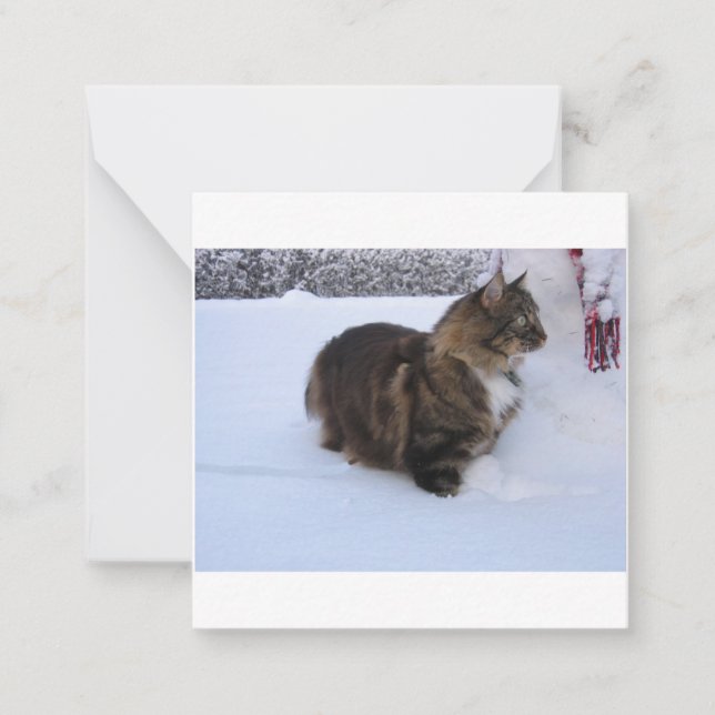 norwegian forest cat in snow anteckningskort (Framsida)