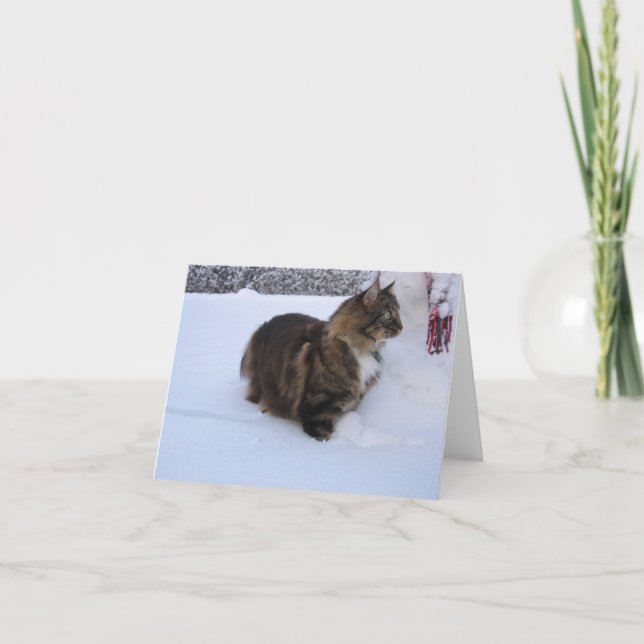 norwegian forest cat in snow kort (Framsida)