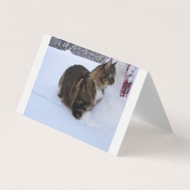 norwegian forest cat in snow visitkort (Framsida)