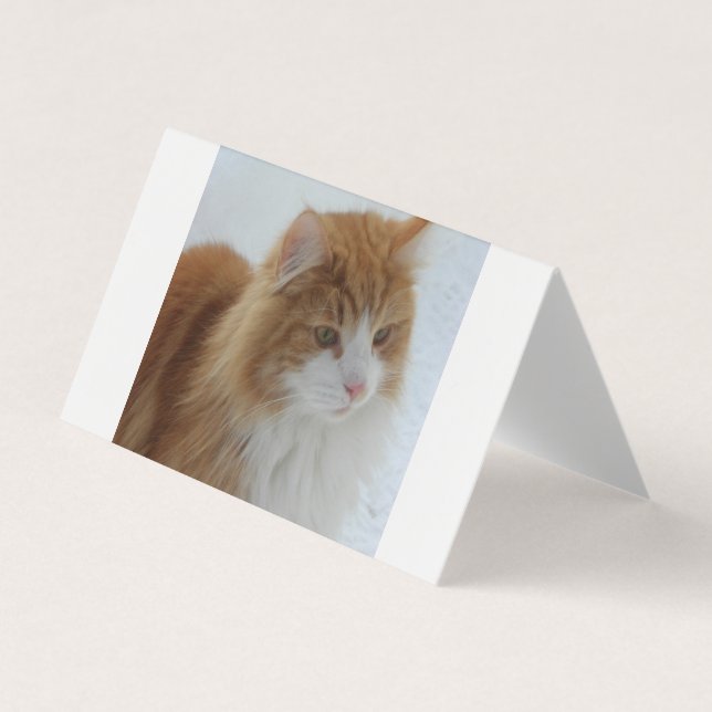 Norwegian_Forest_Cat Visitkort (Framsida)