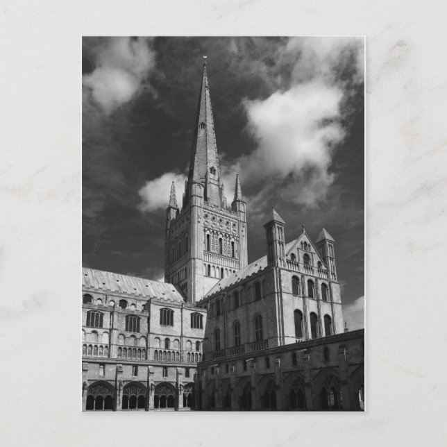 Norwich Cathedral, Norfolk, England Vykort (Framsida)