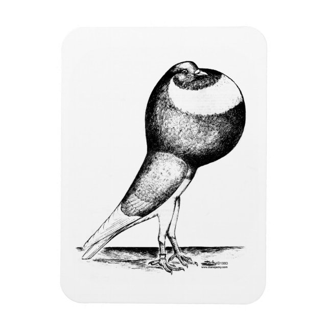 Norwich Cropper 1980 Magnet (Vertikal)