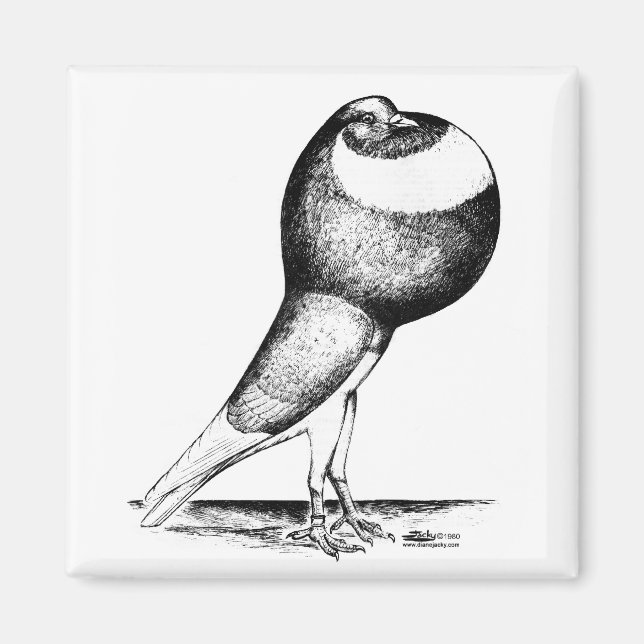 Norwich Cropper 1980 Magnet (Framsidan)