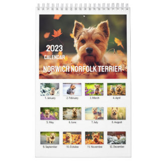 Norwich Norfolk Terrier 2023 Calendar Kalender
