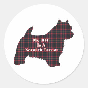 Norwich Terrier BFF Sticker Runt Klistermärke