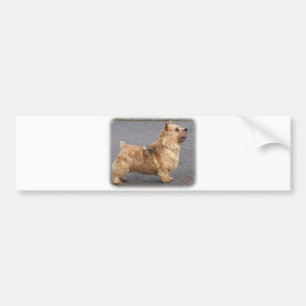 Norwich Terrier Bildekal