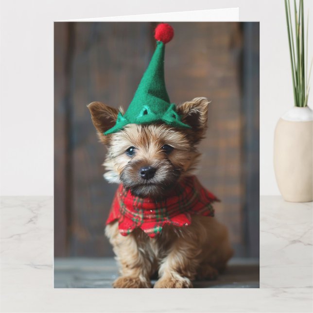 Norwich Terrier Elf Puppy-julkort Kort (Framsida)