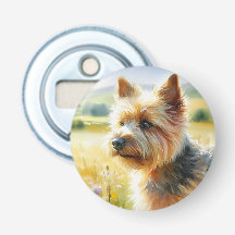 Norwich Terrier