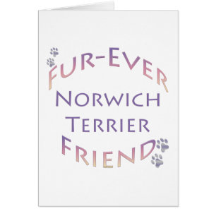 Norwich Terrier Furever Hälsningskort