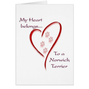 Norwich Terrier Heart-Tillhör Hälsningskort