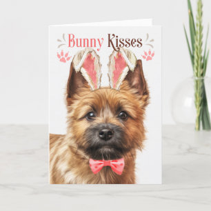 Norwich Terrier Hund Bunny Öron för Påsk Helgkort