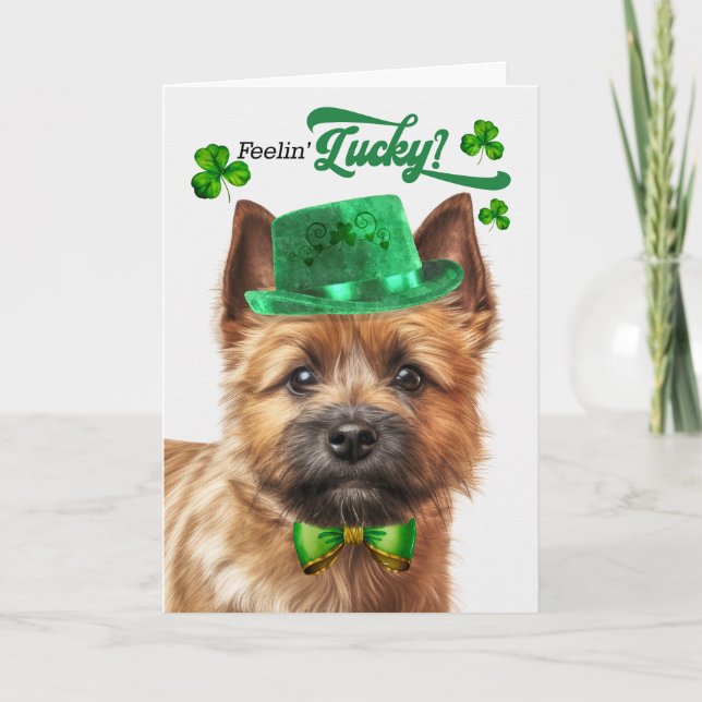 Norwich Terrier Hund Feelin' Lucky St patrick's da Helgkort (Framsida)