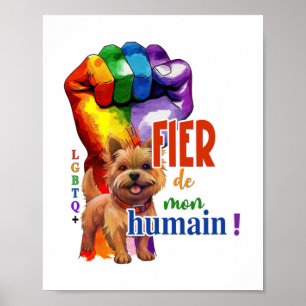 Norwich Terrier hund Poster