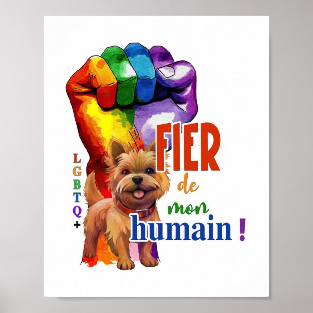 Norwich Terrier hund Poster (Framsidan)