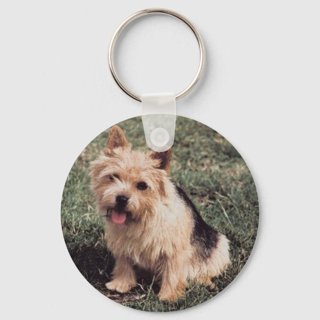 Norwich Terrier Keychain Nyckelring (Framsida)