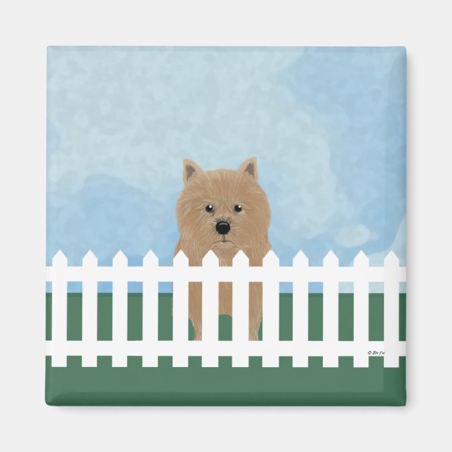 Norwich Terrier Magnet (Framsidan)