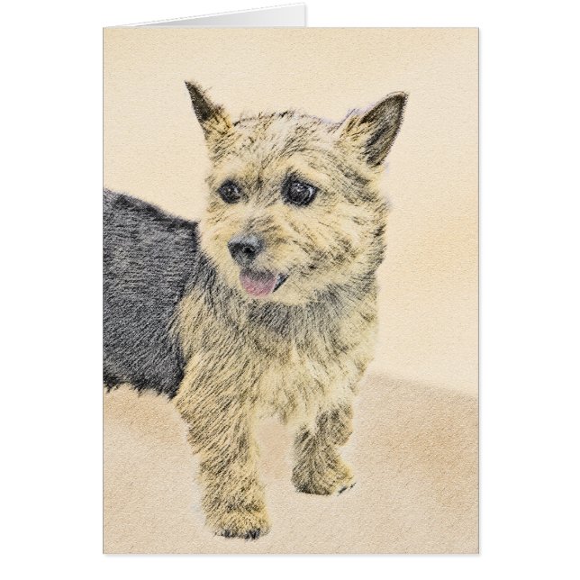 Norwich Terrier-målning - Cute Original Hund Art Hälsningskort (Framsidan)