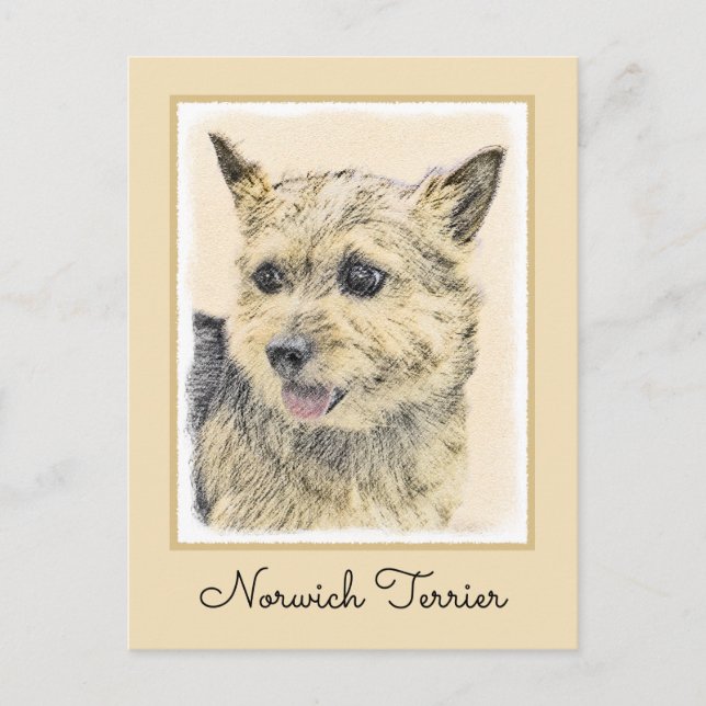 Norwich Terrier-målning - Cute Original Hund Art Vykort (Framsida)