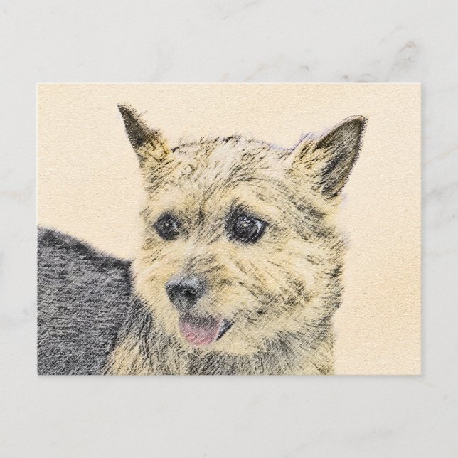 Norwich Terrier-målning - Cute Original Hund Art Vykort (Framsida)