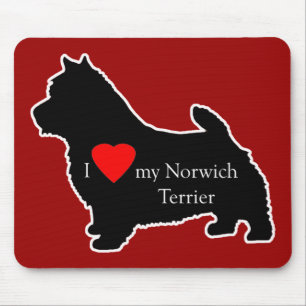 Norwich Terrier Musmatta