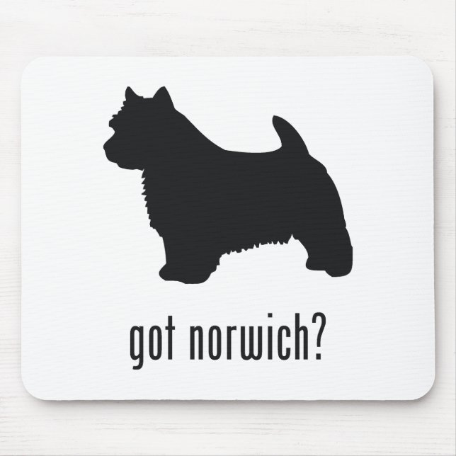 Norwich Terrier Musmatta (Framsidan)