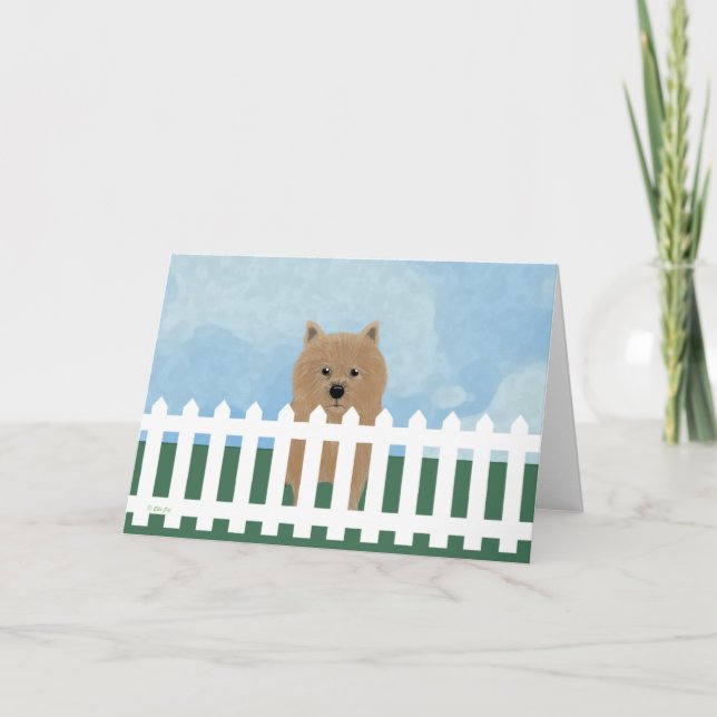 Norwich Terrier Note Card Kort (Framsida)