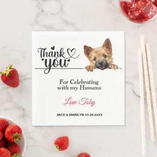 Norwich Terrier Papper Napkins Pappersservett