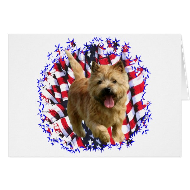 Norwich Terrier Patriot Hälsningskort (Framsidan Horizontal)