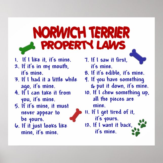NORWICH TERRIER PL2 POSTER (Framsidan)