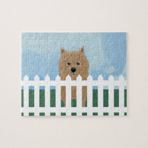 Norwich Terrier Pussel