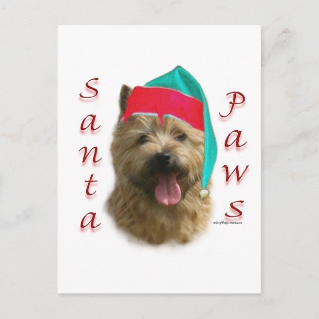 Norwich Terrier Santa Tassar Helg Vykort (Framsida)