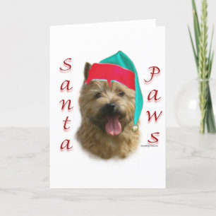 Norwich Terrier Santa Tassar Helgkort