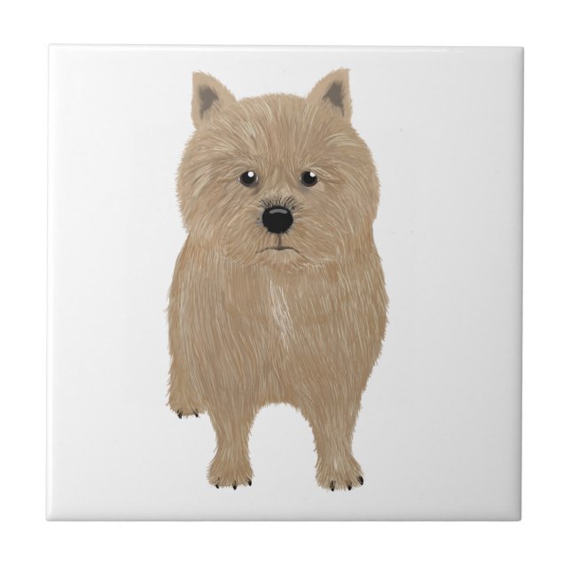 Norwich Terrier Tile Kakelplatta (Framsidan)