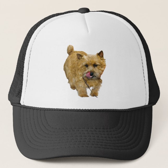 Norwich Terrier Truckerkeps (Framsida)