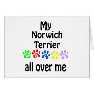 Norwich Terrier Walks Design Hälsningskort