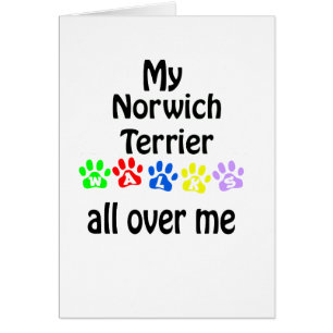 Norwich Terrier Walks Design Hälsningskort