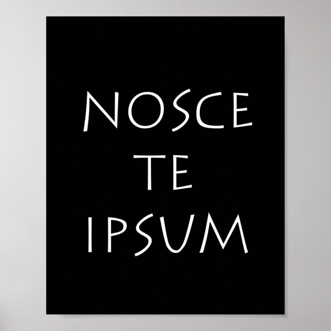 Nosce te ipsum poster (Framsidan)