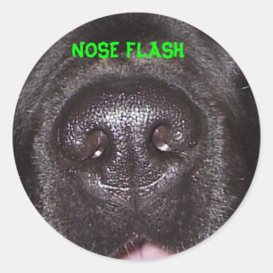 NOSE FLASH RUNT KLISTERMÄRKE