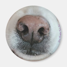 Nose känner till Hund Nose #1 magnet