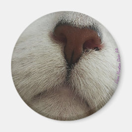 Nose känner till kattnäsa nr 1 magnet