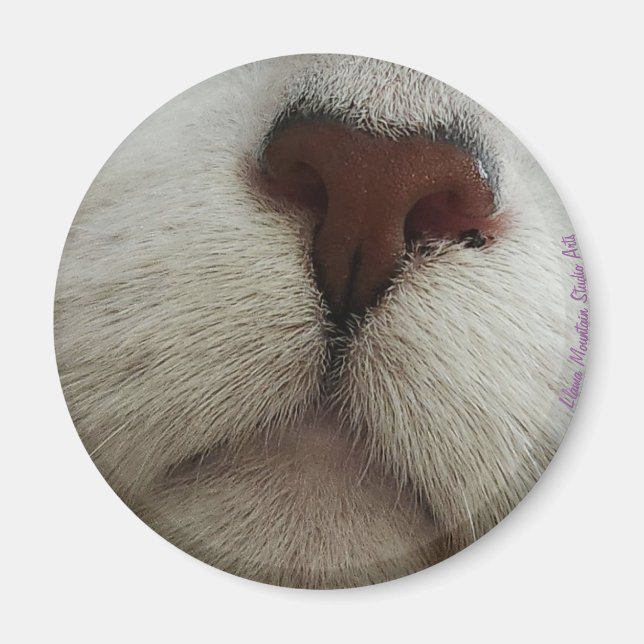 Nose känner till kattnäsa nr 1 magnet (Framsidan)