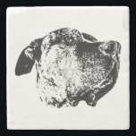 Nose & Whisker Close-Up Stenunderlägg<br><div class="desc">Bord får en liten biet av bra konst. En liten gnista som startar konversationer.</div>