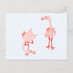 Nosey flamingo vykort
