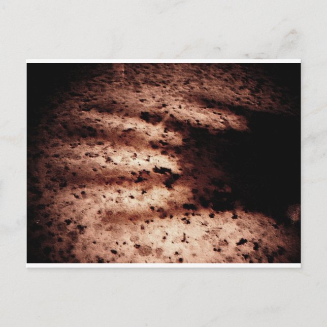 Nosferatu Vykort (Framsida)