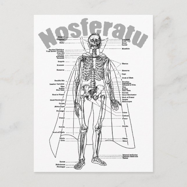 Nosferatu Vykort (Framsida)