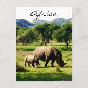 noshörning afrika vykort