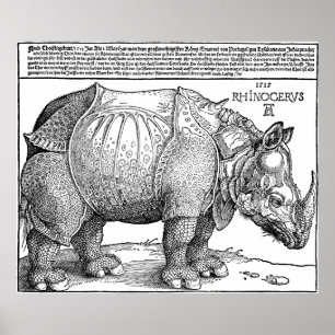 Noshörning vid den Albrecht Durer affischen Poster