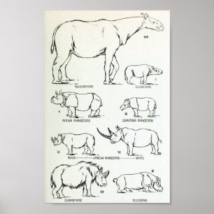 Noshörningen storleksanpassar jämförelse poster