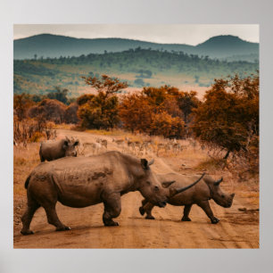 Noshörningfamiljen, Pilanesberg reserverar, Poster
