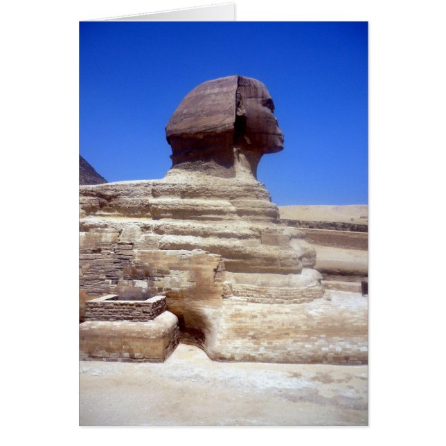 noshörningssten hälsningskort (Framsidan)